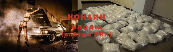 сатива Дмитриев