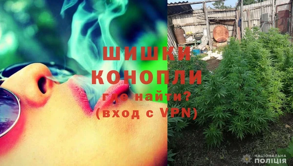 сатива Дмитриев