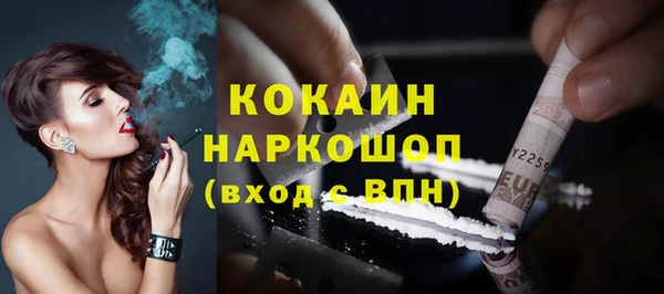 сатива Дмитриев