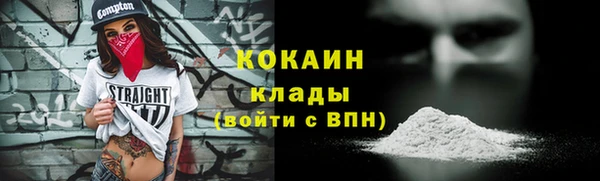 дживик Весьегонск