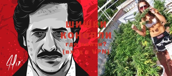 бошки Дмитров