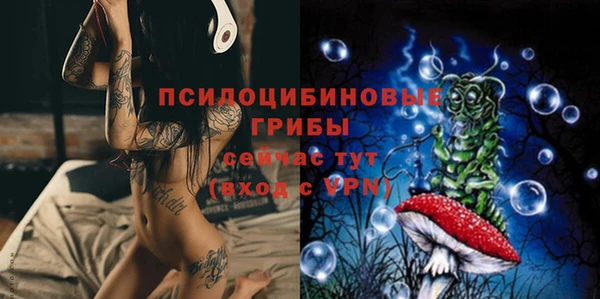 бошки Дмитров