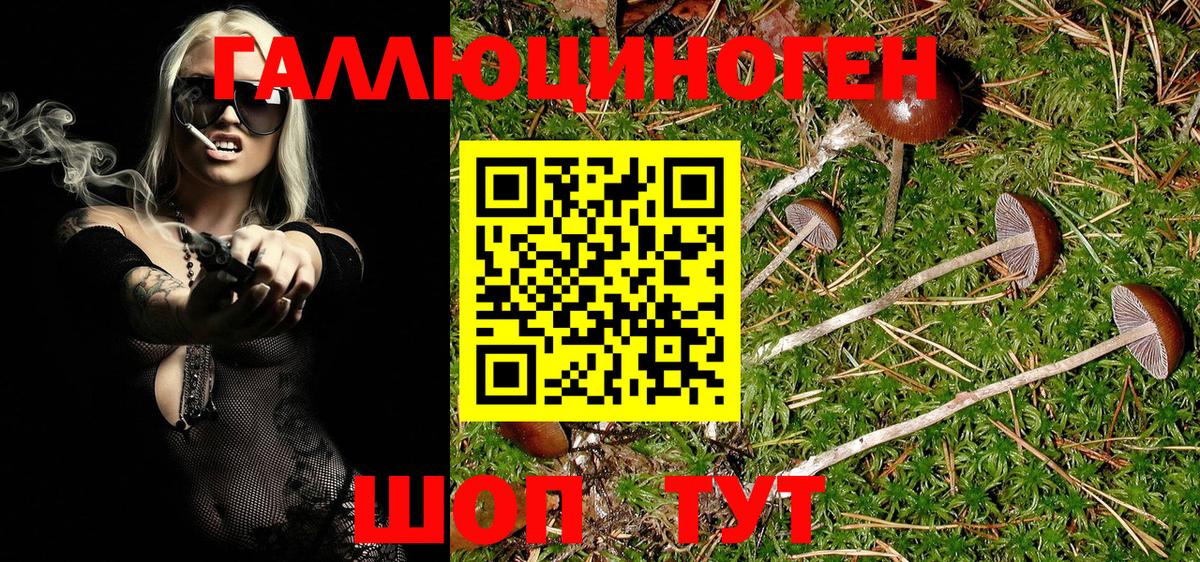 Галлюциногенные грибы Cubensis  Вход с VPN  Заринск  Псилоцибиновые грибы MAGIC MUSHROOMS 