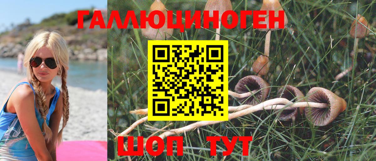Псилоцибиновые грибы GOLDEN TEACHER Заринск